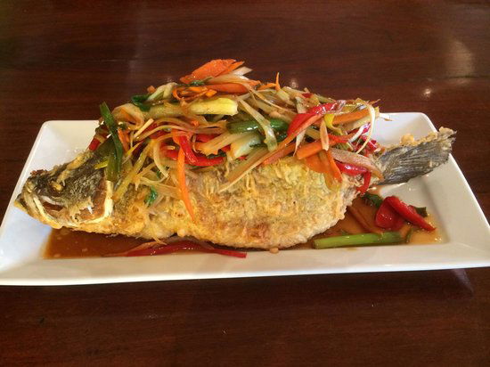 Mangoola NSW Accommodation Melbourne