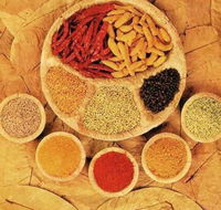 Tehzeeb Indian and Australian Restaurant - Accommodation Melbourne