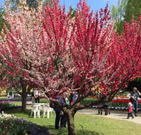 Mirchi Indian Cuisine - Accommodation Melbourne