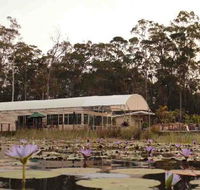 Abundance Cafe and Garden Centre - Accommodation Melbourne