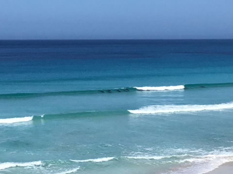 Beach Barista - Accommodation Melbourne 1