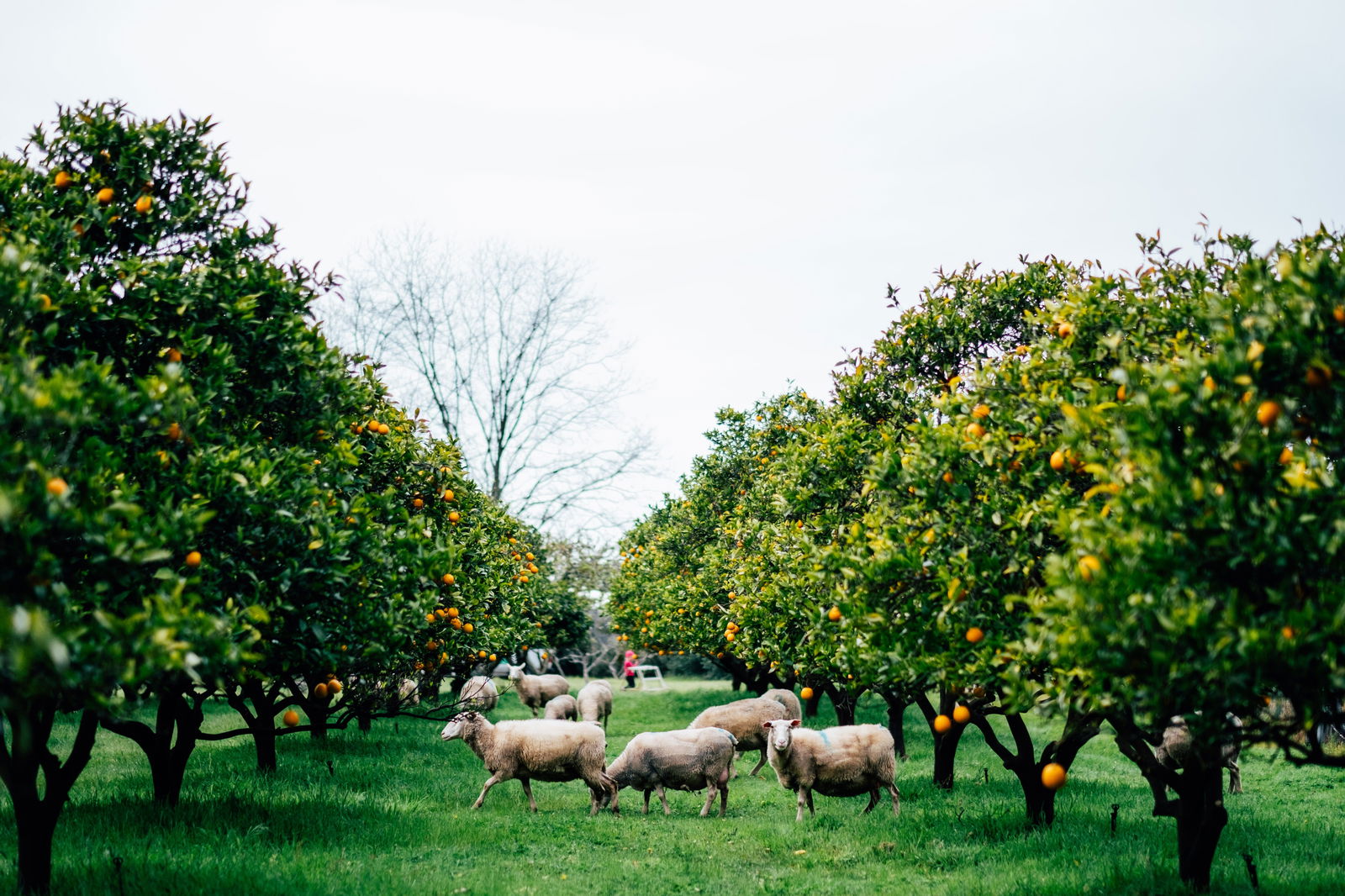  Accommodation Melbourne