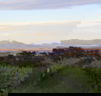 Castle Rock Estate Winery - Accommodation Melbourne