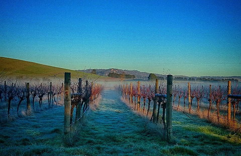 Eastern Peake Winery - Accommodation Melbourne 0