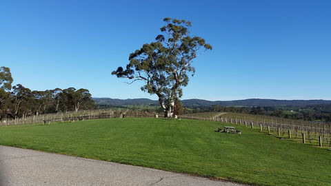 Nepenthe Wines - Accommodation Melbourne 0