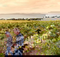Boston Bay Wines - Accommodation Melbourne
