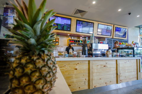 Raw Energy Springfield - Accommodation Melbourne 1