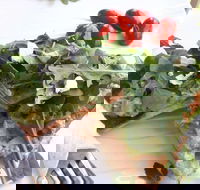 The Garden Tearooms  Cottage Nursery - Accommodation Melbourne