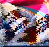 Donut King - Sunshine - Accommodation Melbourne