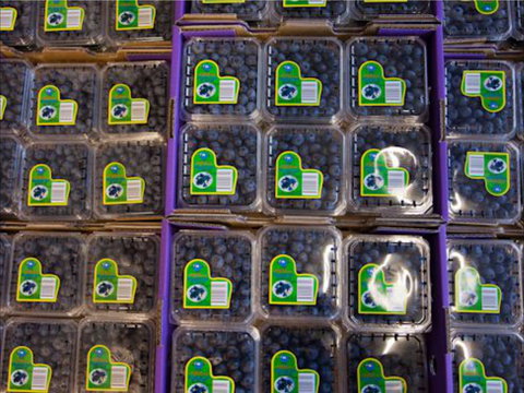 Jolly Berries - Accommodation Melbourne 0