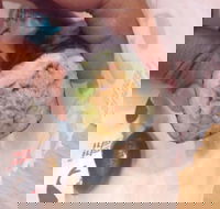 La Porchetta Colac - Colac - Accommodation Melbourne