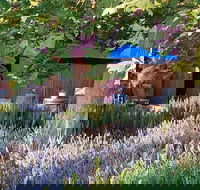 Macquariedale Organic Wines - Accommodation Melbourne