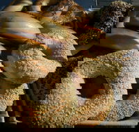 NYC Bagel Deli - Fortitude Valley - Accommodation Melbourne