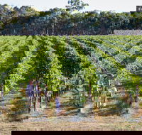 Weathercraft Wines - Accommodation Melbourne