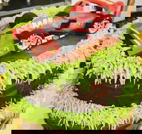 Runaway Cupcakes - Accommodation Melbourne