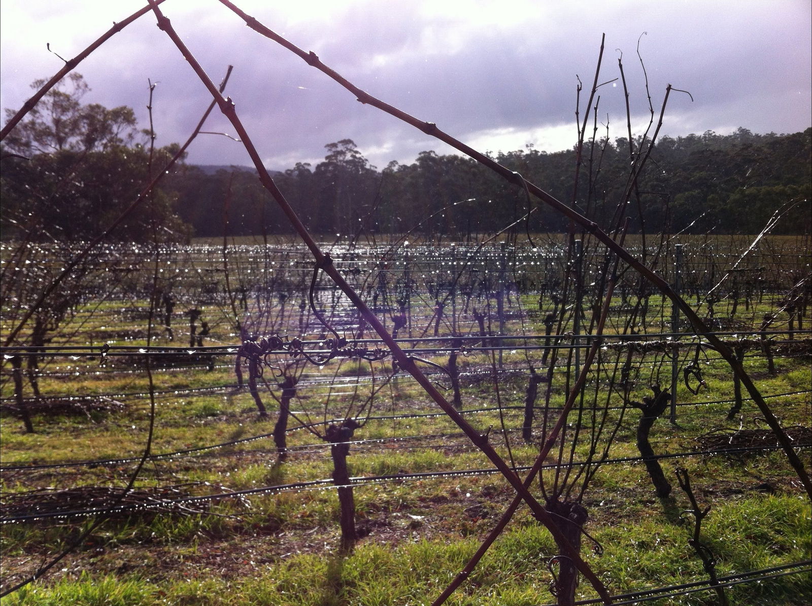 Orford TAS Accommodation Melbourne
