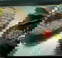 Meldrums Pies in Paradise - Accommodation Melbourne