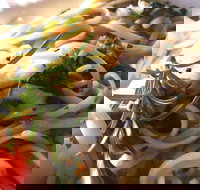 Merimbula Wharf - Accommodation Melbourne