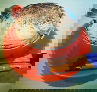 Routleys Bakery - Accommodation Melbourne