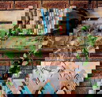 Wilderness Bar - Accommodation Melbourne