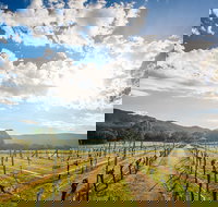 Fallen Giants Vineyard - Accommodation Melbourne