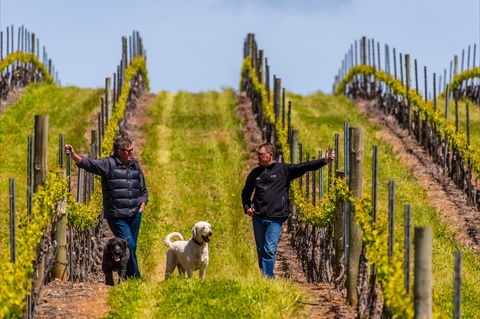 Tim Adams Wines - Accommodation Melbourne 2