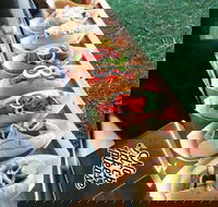 Balter Brewing Company - Accommodation Melbourne