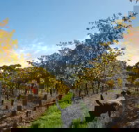 Ruddenklau Wines - Accommodation Melbourne