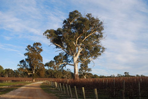 Elysian Springs - Accommodation Melbourne 1