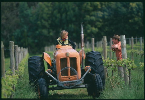 Oranje Tractor Wine - Melbourne 4u 0