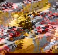 Persian Room 248 - Accommodation Melbourne