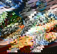 Luxe Fish - Accommodation Melbourne