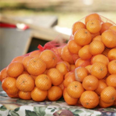 Mathoura Mandarins - Accommodation Melbourne 0