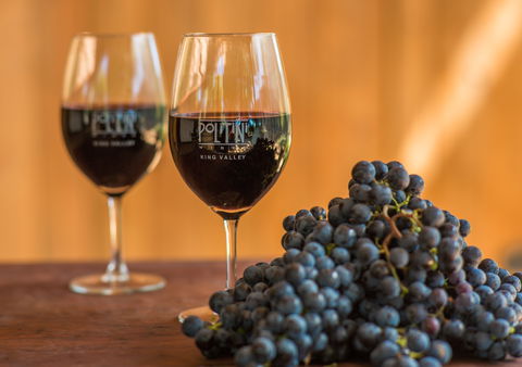 Politini Wines - Accommodation Melbourne 0