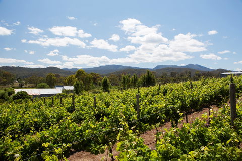 Politini Wines - Accommodation Melbourne 1