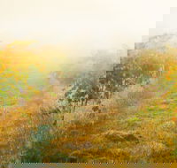 Poonawatta - Accommodation Melbourne