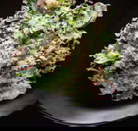 Arthur Waterhouse Lounge - Accommodation Melbourne