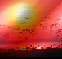 Four Birds - Accommodation Melbourne