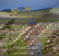 Kurtz Family Vineyards - Accommodation Melbourne