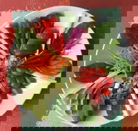 Olive Bus Clare - Accommodation Melbourne