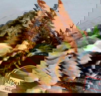 Redfish Fish Chips  Grill - Accommodation Melbourne