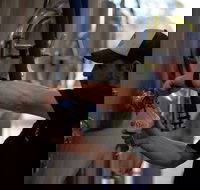 Wild Hop Brewing Company - Accommodation Melbourne