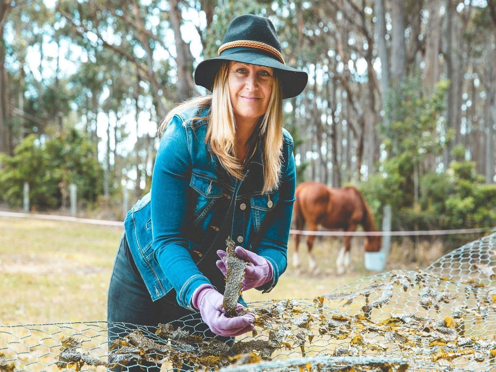 Mystery Bay NSW Accommodation Melbourne