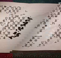 Bubba Pizza - Mount Barker - Accommodation Melbourne