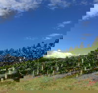 Freycinet Vineyard - Accommodation Melbourne