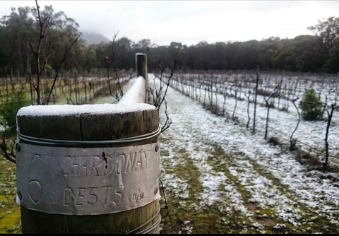 Mount Buninyong Winery - Accommodation Melbourne 1