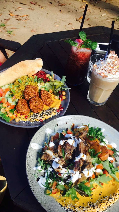Rainforest Cafe Restaurant - Accommodation Melbourne 0