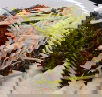 Rising Sun Hotel - Accommodation Melbourne