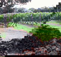 Spring Vale Vineyard - Accommodation Melbourne