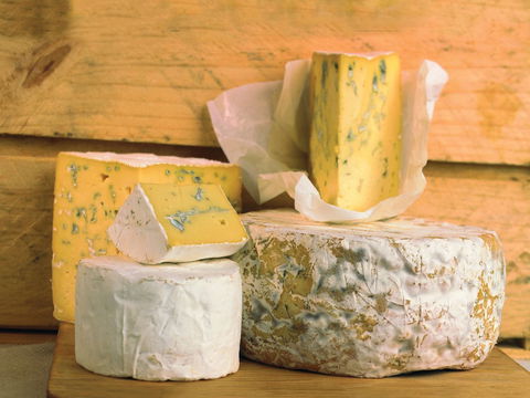 Cheese Shop At Makers' Workshop Burnie - The - Accommodation Melbourne 1